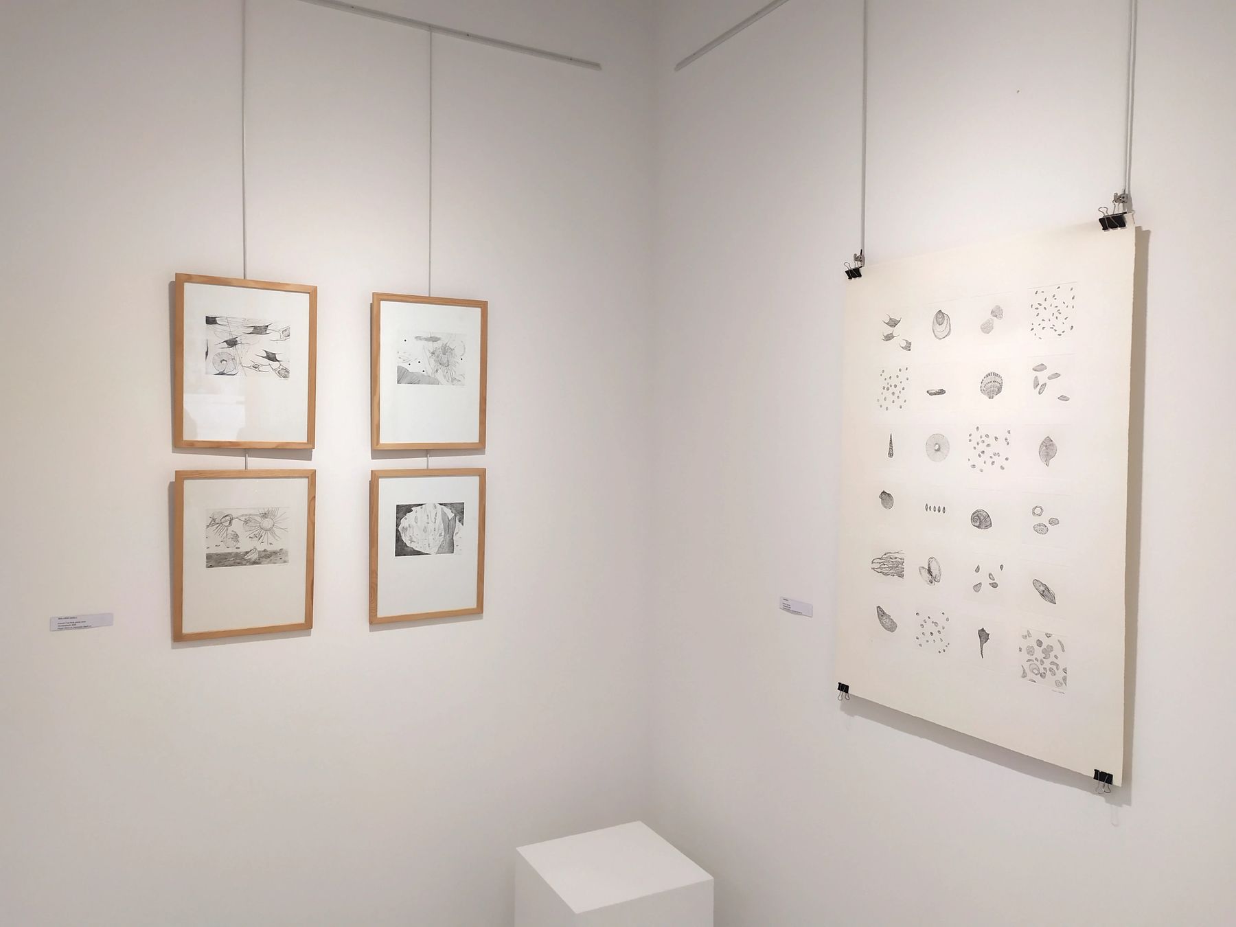 Exposition A - 1